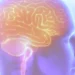 Ilustração digital do cérebro humano em perfil com destaque em tons laranja e amarelo sobre fundo azul-roxo