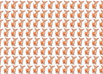 Padrão repetido de chihuahuas marrons em estilo desenho organizados em fileiras sobre fundo branco