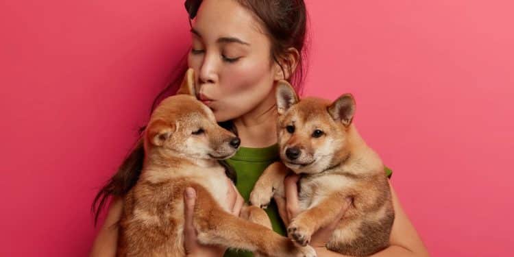 Mulher segurando dois filhotes de cachorro enquanto demonstra carinho, ilustrando diferenças entre masculino e feminino nos nomes de animais.
