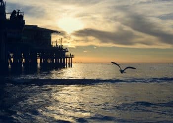 Silhueta de plataforma sobre o oceano ao pôr do sol com ave em voo representando o setor de carreiras offshore no Brasil