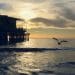 Silhueta de plataforma sobre o oceano ao pôr do sol com ave em voo representando o setor de carreiras offshore no Brasil