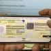 Pessoa segurando celular com a nova Carteira de Identidade Nacional digital aberta na tela