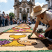 Fiel ajoelhada monta tapete de serragem colorida em frente a uma igreja durante a procissão de Corpus Christi.
