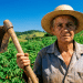 Trabalhadora rural de chapéu segura uma enxada e, ao redor, uma plantação verde sob o céu azul