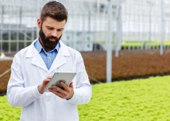Profissional de jaleco analisa dados em tablet dentro de estufa de cultivo sustentável