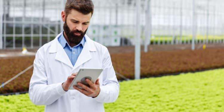 Profissional de jaleco analisa dados em tablet dentro de estufa de cultivo sustentável